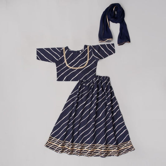 Dark Blue Lehanga Top